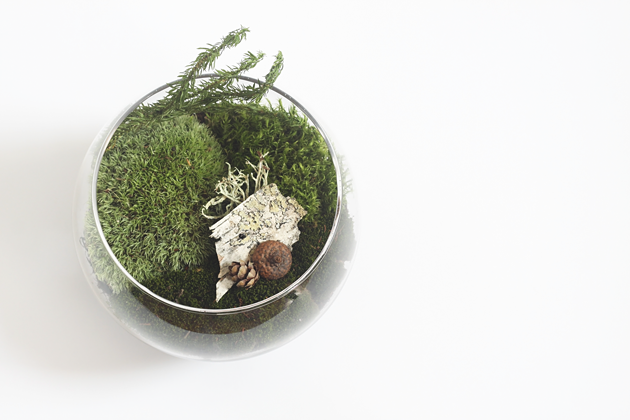 DIY Found Moss Terrarium Idle Hands Awake