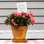 DIY Dipped Flower Pots for the Procrastinating Gifter