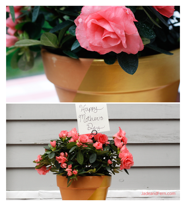 DIY Dipped Flower Pot | Jade and Fern