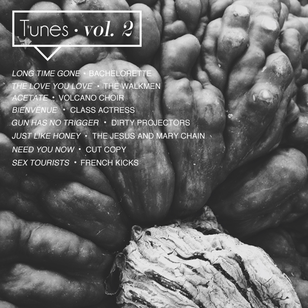 Tunes Volume 2 || Jade and Fern
