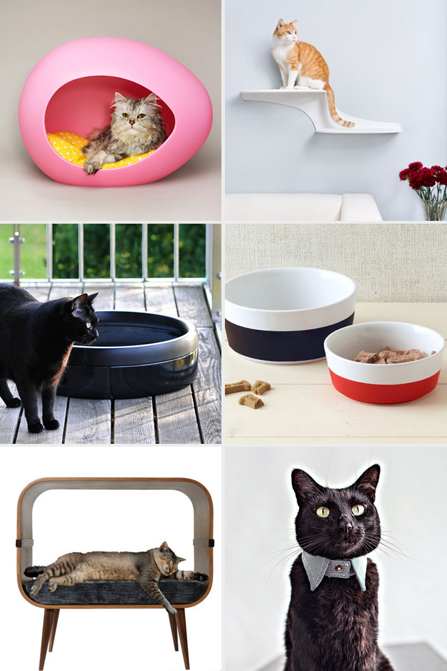 Gifts for Crazy Cat People || via Jade and Fern
