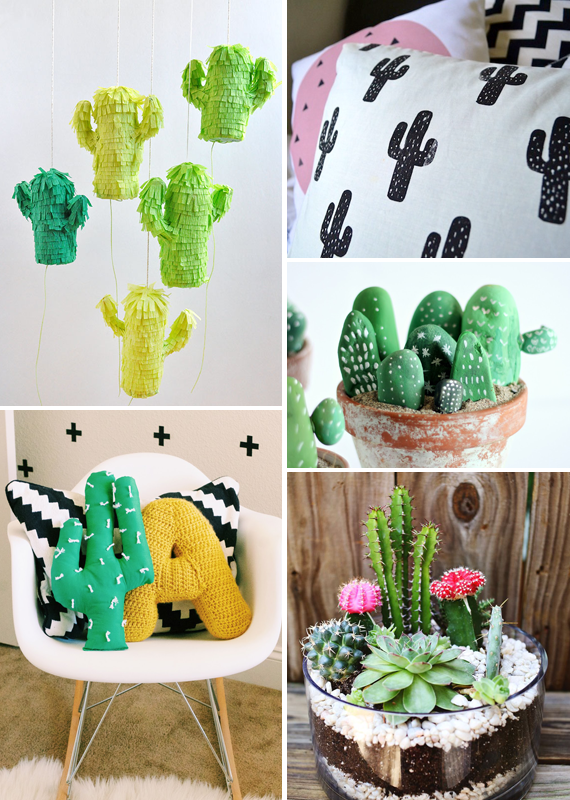 Cacti to DIY || via Jade and Fern