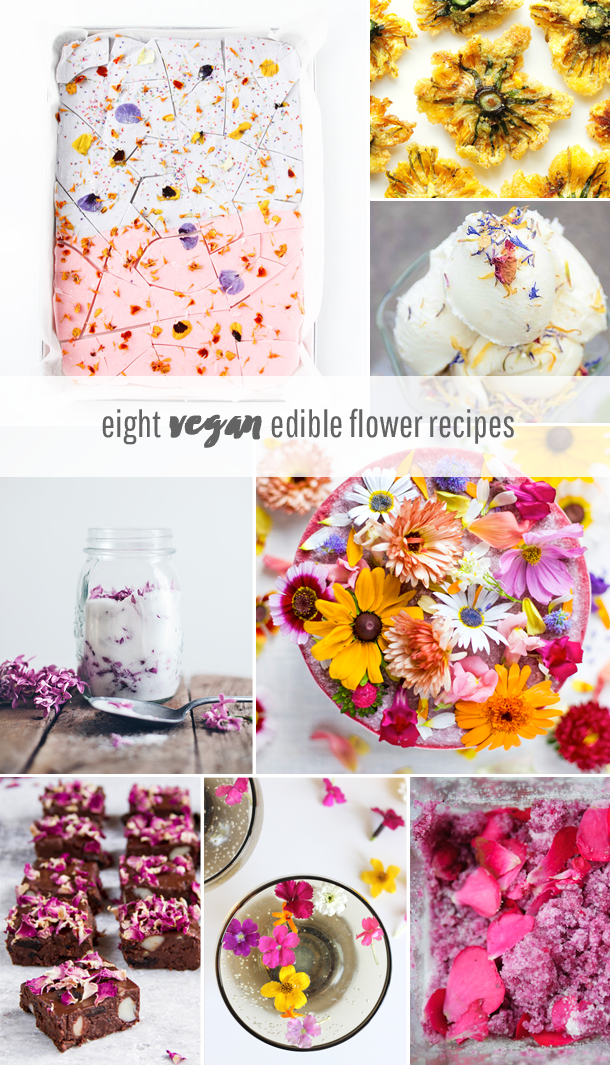 Eight Vegan Edible Flower Recipes for Spring