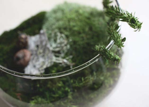 DIY Found Moss Terrarium by Idle Hands Awake