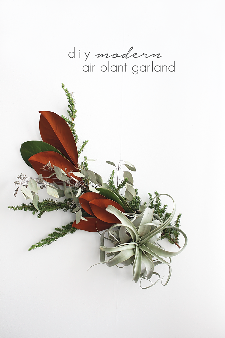 DIY Modern Air Plant Garland by Idle Hands Awake
