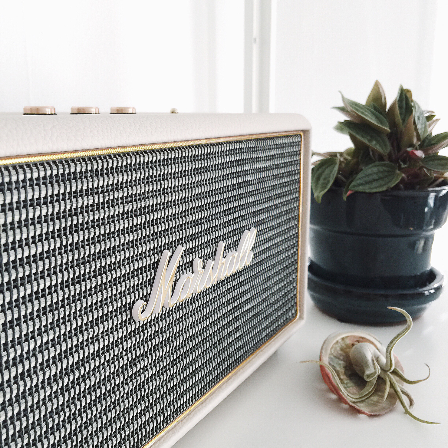 Marshall Acton speaker and a bunch of fun links! // Idle Hands Awake
