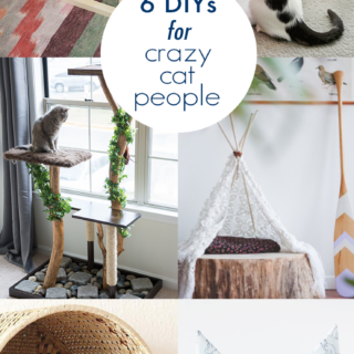 Crazy cat people unite! Check out these DIY cat projects that will make your feline friends purrfectly happy.