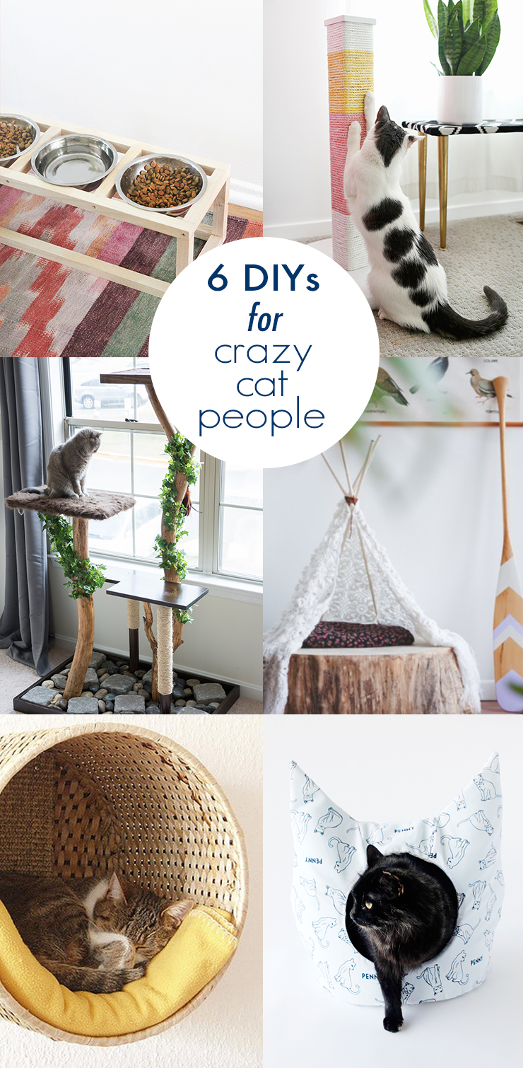 Crazy cat people unite! Check out these DIY cat projects that will make your feline friends purrfectly happy.