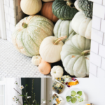 75 Cozy Fall DIY Projects
