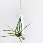Guest Post: DIY Marbled Hanging Plant Holder
