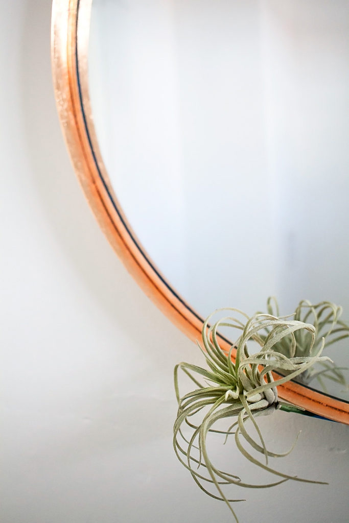 You can turn any plain mirror into a DIY copper mirror on a budget using just copper leaf and a paintbrush. The perfect inexpensive craft for a high-end look!