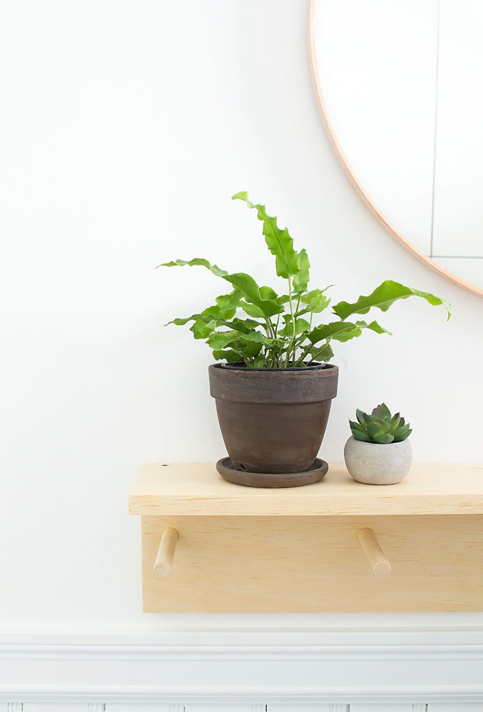 Minimal DIY Entryway Coat Rack