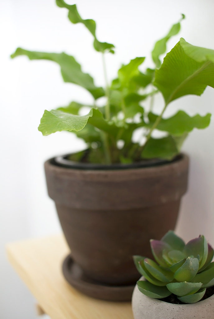 See how to transform an entryway from dark and dingy to bright, clean, and organized.