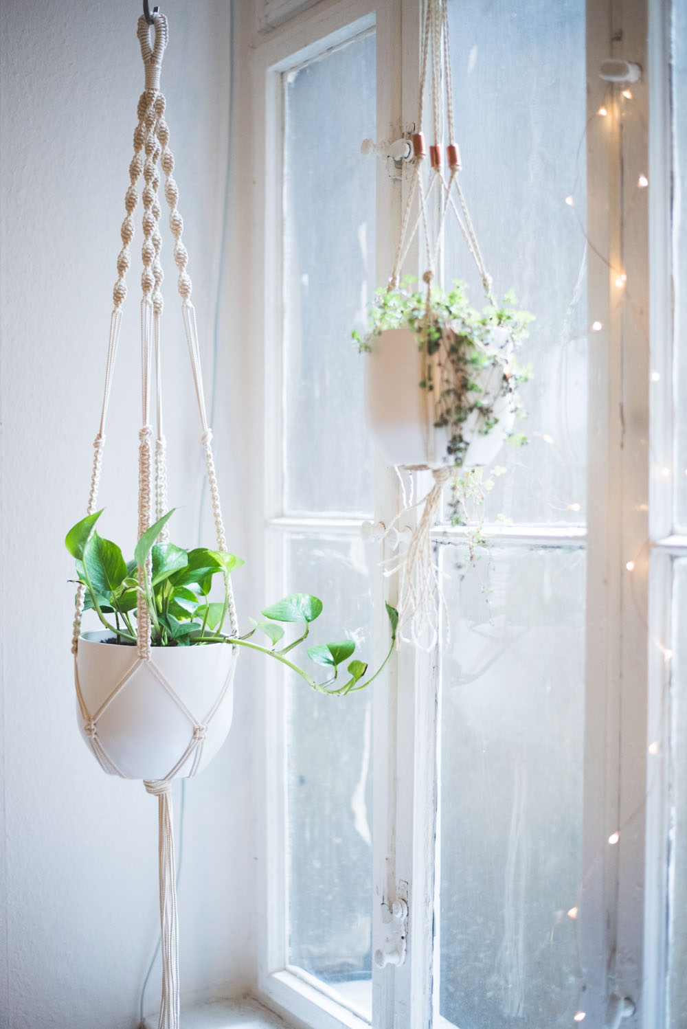 Macrame plant hanger DIY by Hey Lila Hey / Learn how to make beginner-friendly macrame knots so you can macrame all day!