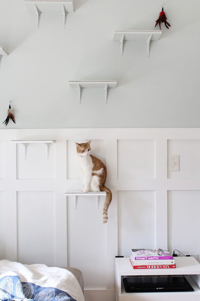 Cat Shelf Pet Oasis by Simple Stylings // 75 DIY ideas for Fall via Idle Hands Awake